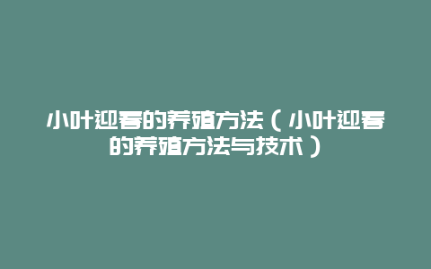 小叶迎春的养殖方法（小叶迎春的养殖方法与技术）