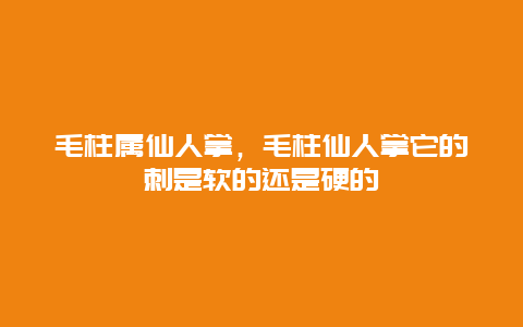 毛柱属仙人掌，毛柱仙人掌它的刺是软的还是硬的