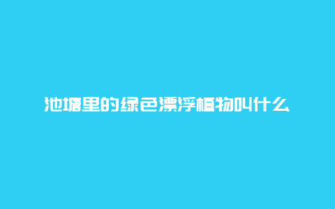 池塘里的绿色漂浮植物叫什么