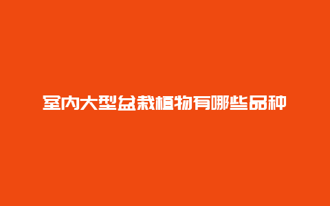 室内大型盆栽植物有哪些品种