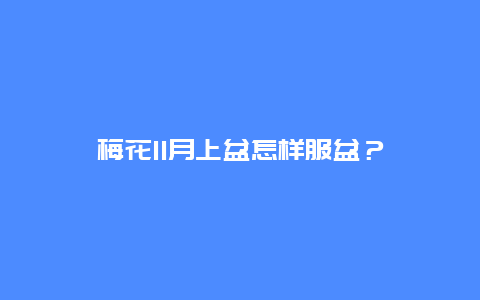 梅花11月上盆怎样服盆？