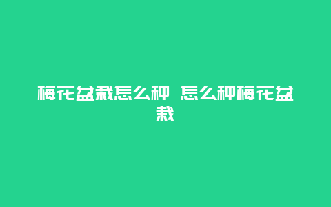 梅花盆栽怎么种 怎么种梅花盆栽