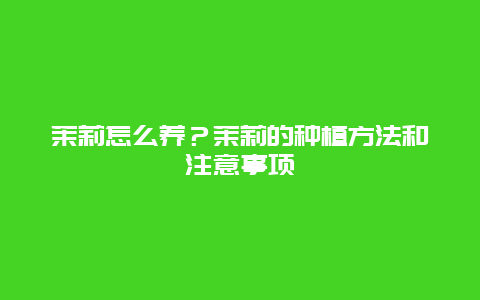 茉莉怎么养？茉莉的种植方法和注意事项