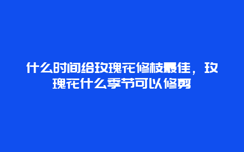 什么时间给玫瑰花修枝最佳，玫瑰花什么季节可以修剪