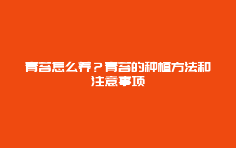 青苔怎么养？青苔的种植方法和注意事项