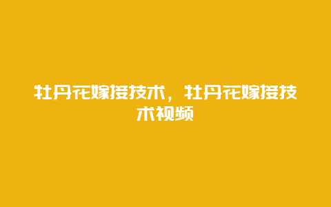 牡丹花嫁接技术，牡丹花嫁接技术视频