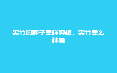 黑竹的种子怎样种植，黑竹怎么种植