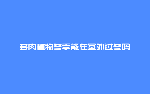 多肉植物冬季能在室外过冬吗