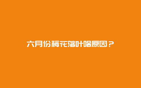 六月份梅花落叶啥原因？