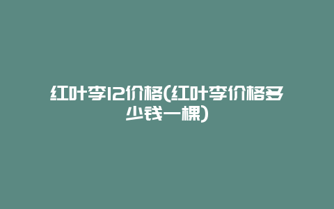 红叶李12价格(红叶李价格多少钱一棵)