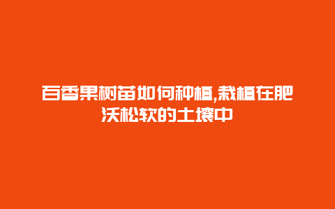 百香果树苗如何种植,栽植在肥沃松软的土壤中