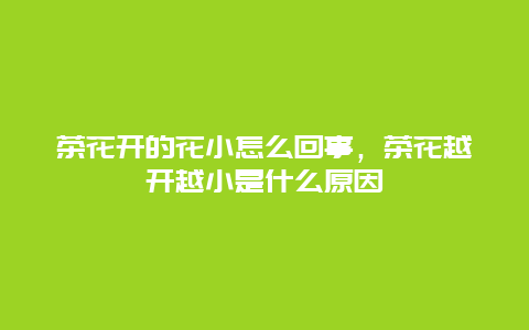 茶花开的花小怎么回事，茶花越开越小是什么原因