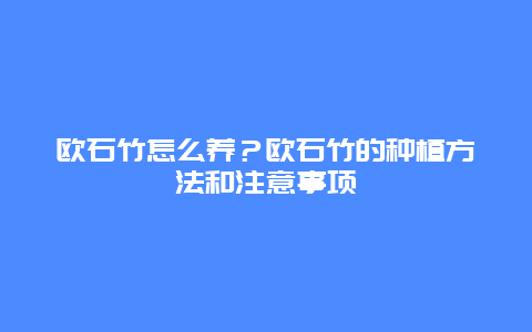 欧石竹怎么养？欧石竹的种植方法和注意事项