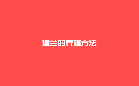 建兰的养殖方法