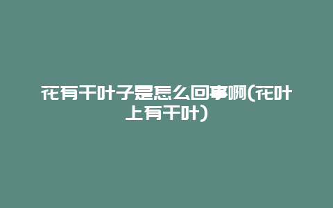 花有干叶子是怎么回事啊(花叶上有干叶)