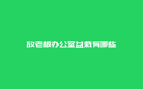 放老板办公室盆栽有哪些