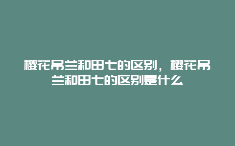 樱花吊兰和田七的区别，樱花吊兰和田七的区别是什么