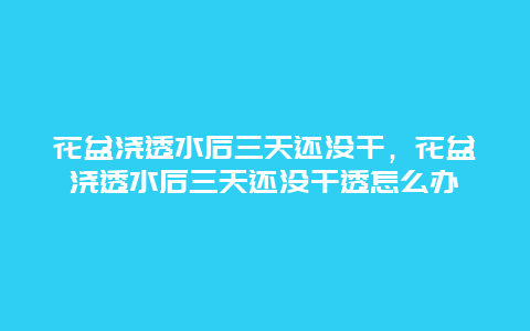 花盆浇透水后三天还没干，花盆浇透水后三天还没干透怎么办