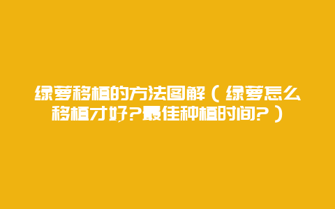 绿萝移植的方法图解（绿萝怎么移植才好?最佳种植时间?）