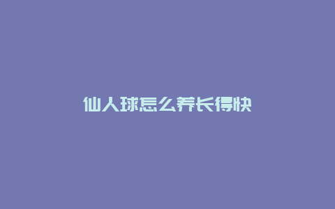 仙人球怎么养长得快