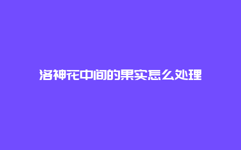 洛神花中间的果实怎么处理