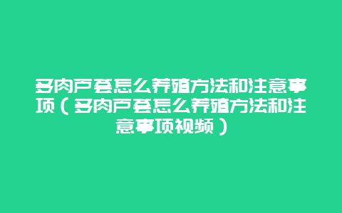 多肉芦荟怎么养殖方法和注意事项（多肉芦荟怎么养殖方法和注意事项视频）