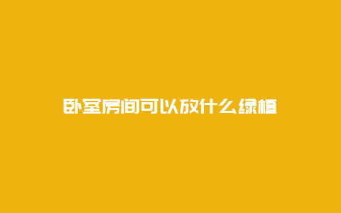 卧室房间可以放什么绿植