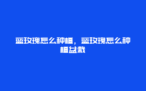 蓝玫瑰怎么种植，蓝玫瑰怎么种植盆栽