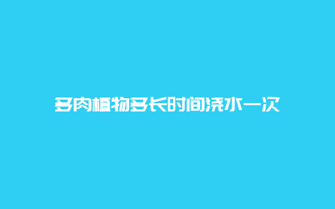 多肉植物多长时间浇水一次