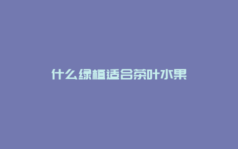 什么绿植适合茶叶水果