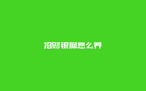 招财银柳怎么养