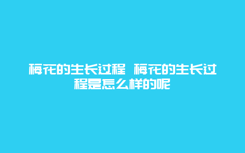 梅花的生长过程 梅花的生长过程是怎么样的呢