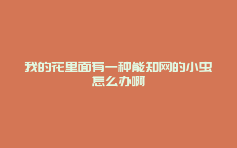 我的花里面有一种能知网的小虫怎么办啊