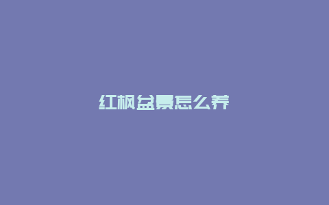 红枫盆景怎么养