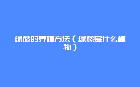 绿藤的养殖方法（绿藤是什么植物）