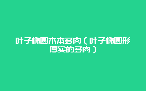 叶子椭圆木本多肉（叶子椭圆形厚实的多肉）