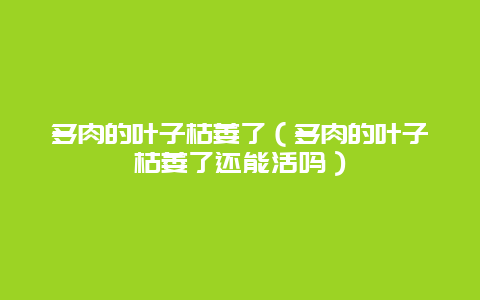 多肉的叶子枯萎了（多肉的叶子枯萎了还能活吗）