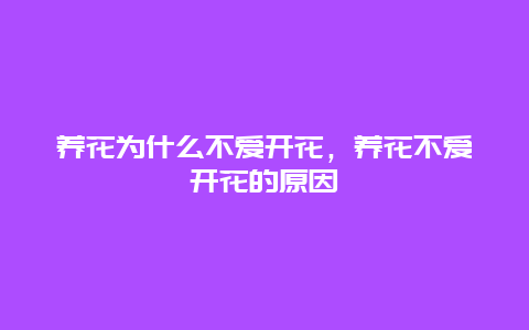 养花为什么不爱开花，养花不爱开花的原因