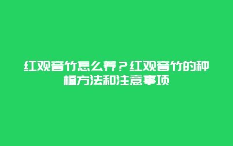 红观音竹怎么养？红观音竹的种植方法和注意事项