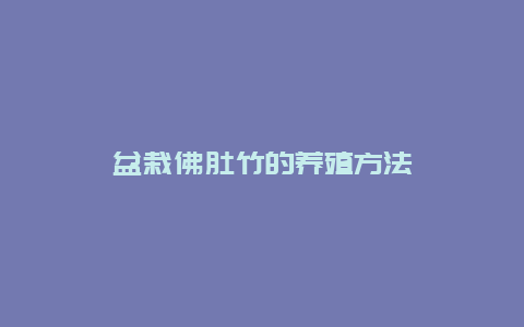 盆栽佛肚竹的养殖方法