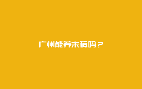 广州能养宋梅吗？