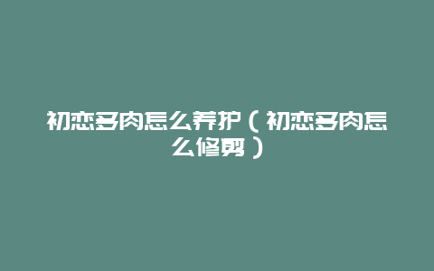 初恋多肉怎么养护（初恋多肉怎么修剪）