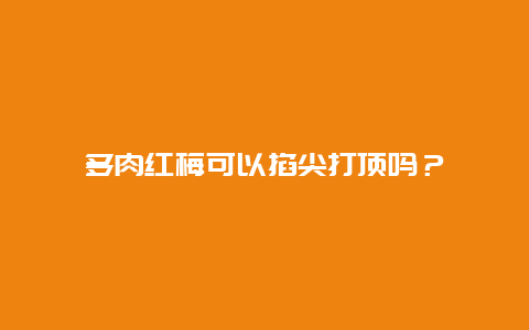 多肉红梅可以掐尖打顶吗？