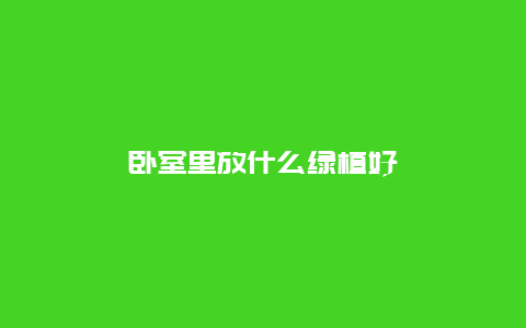 卧室里放什么绿植好