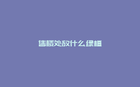 售楼处放什么绿植