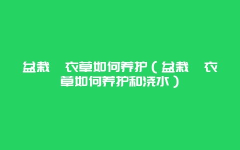 盆栽薰衣草如何养护（盆栽薰衣草如何养护和浇水）