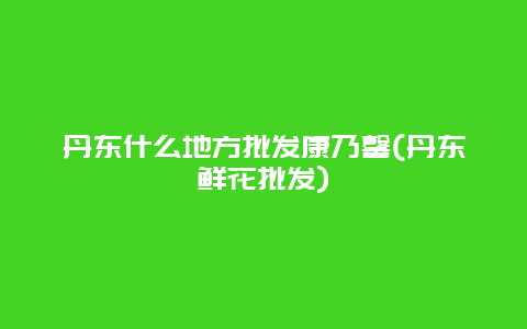 丹东什么地方批发康乃馨(丹东鲜花批发)