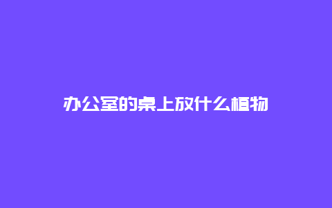 办公室的桌上放什么植物