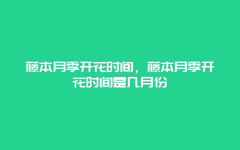 藤本月季开花时间，藤本月季开花时间是几月份