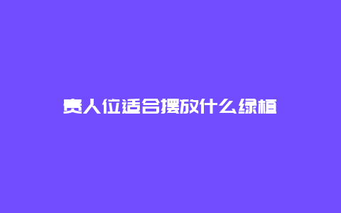 贵人位适合摆放什么绿植